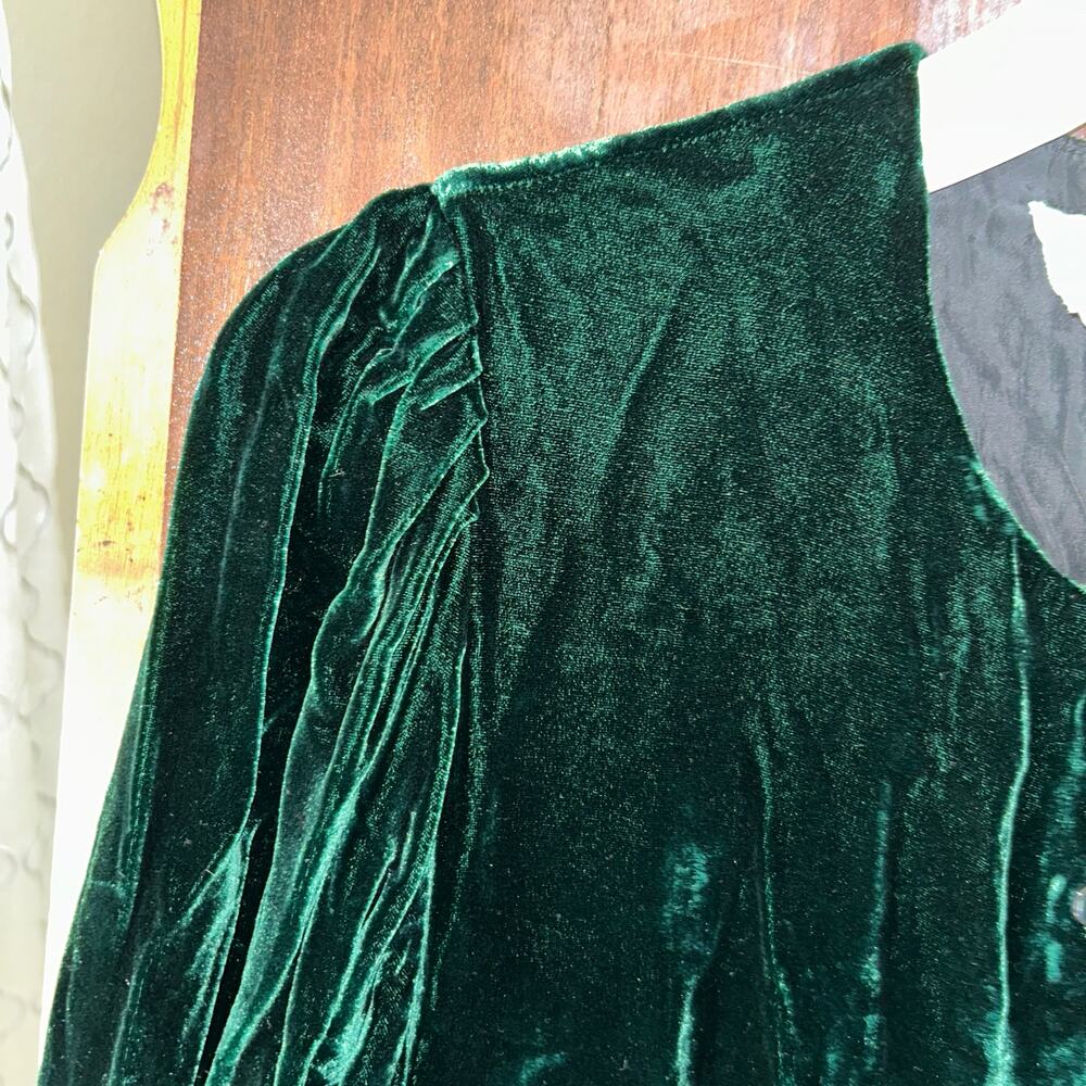 Vintage Eileen West Velvet Long Sleeve Dress Green Sz 6 button up holiday - Picture 7 of 12